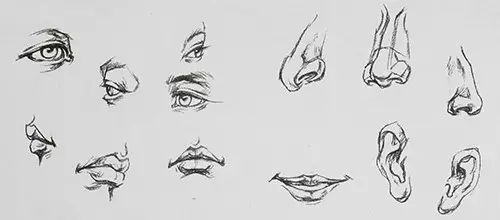 ٽYD.jpg